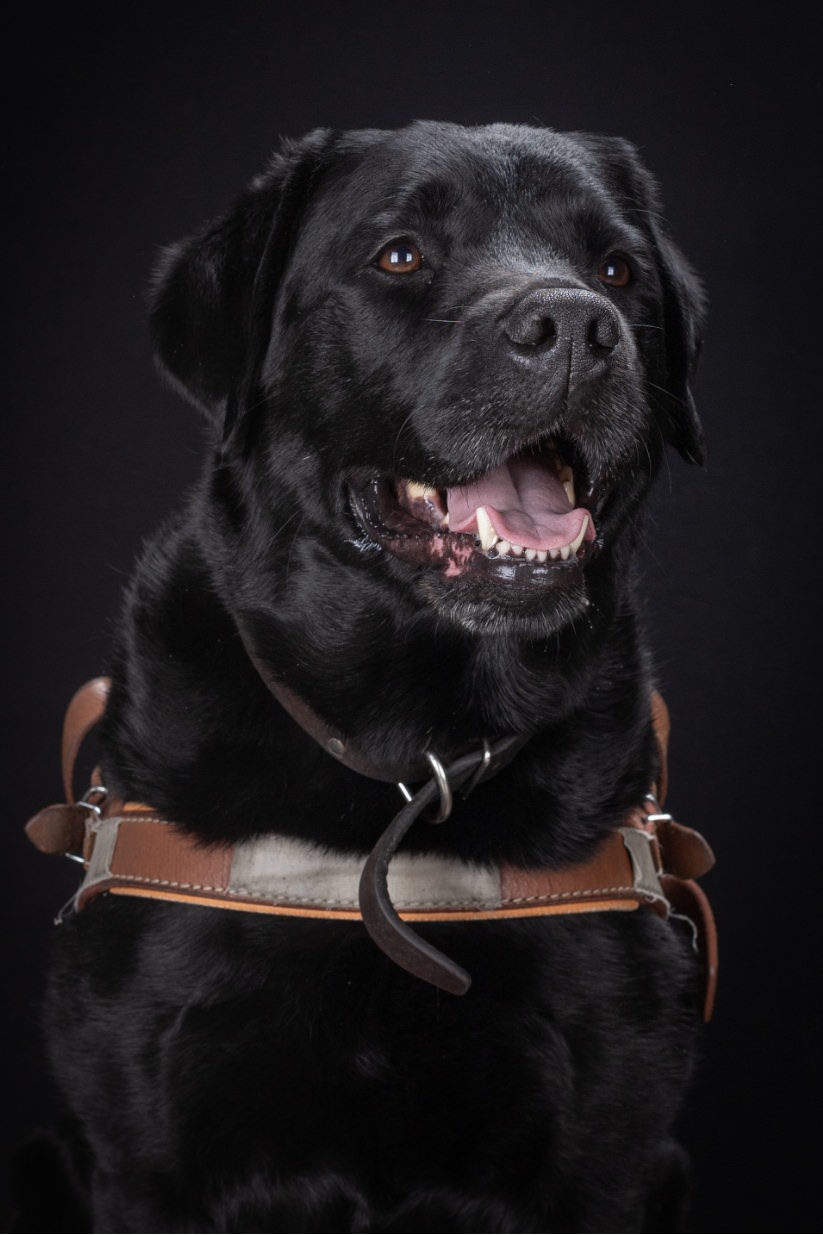 ©Xavier-randria.com