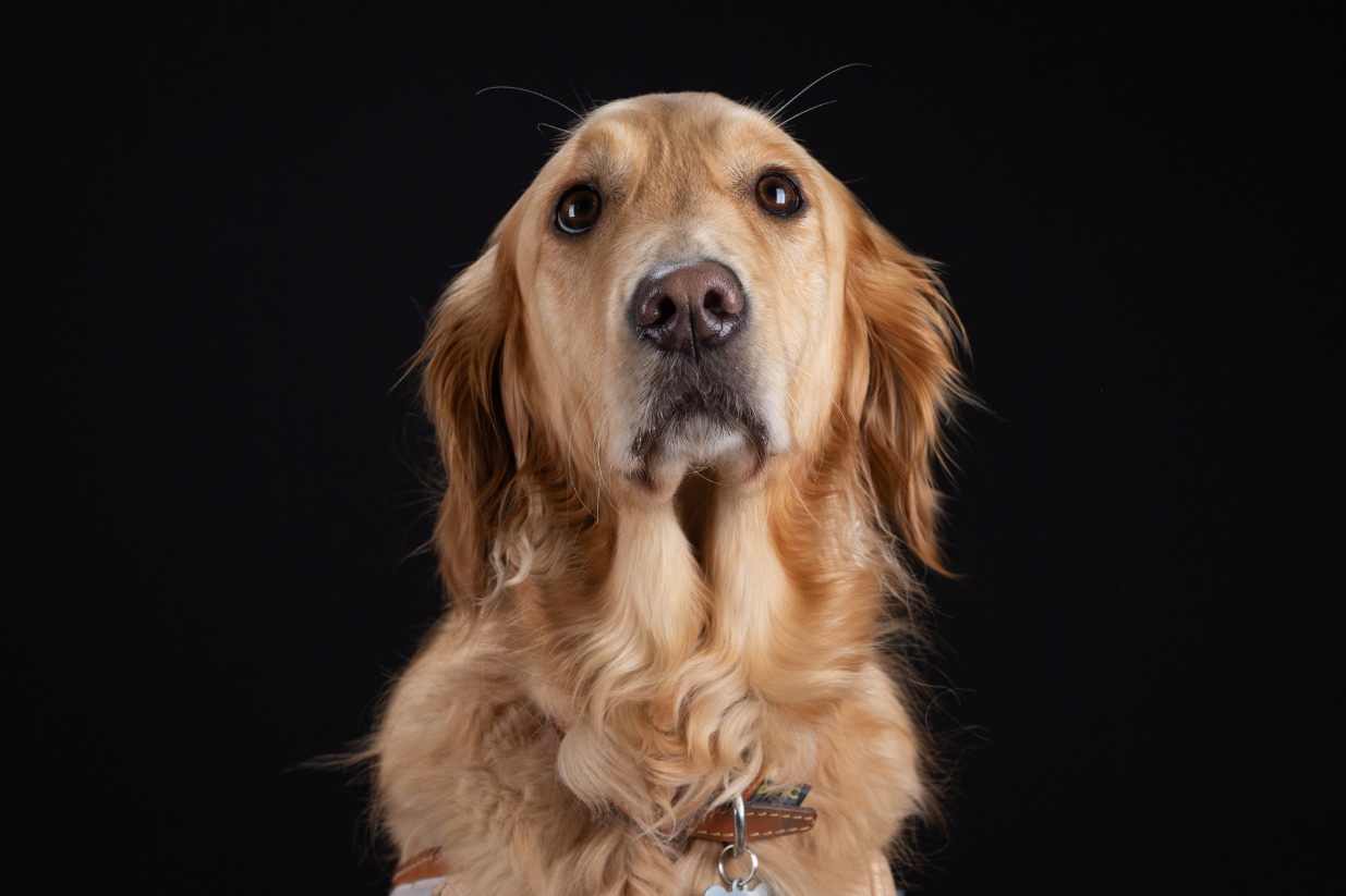 ©Xavier-randria.com