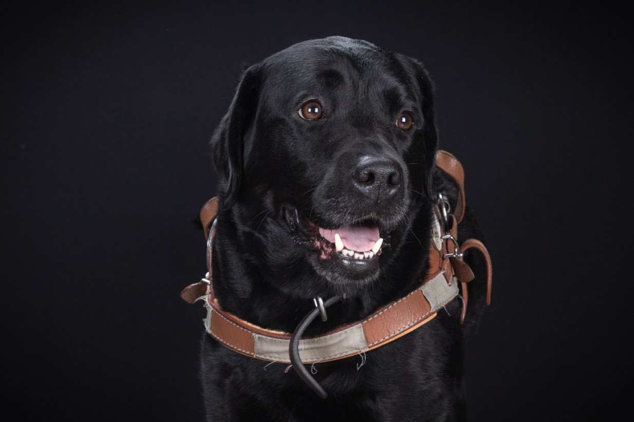 ©Xavier-randria.com