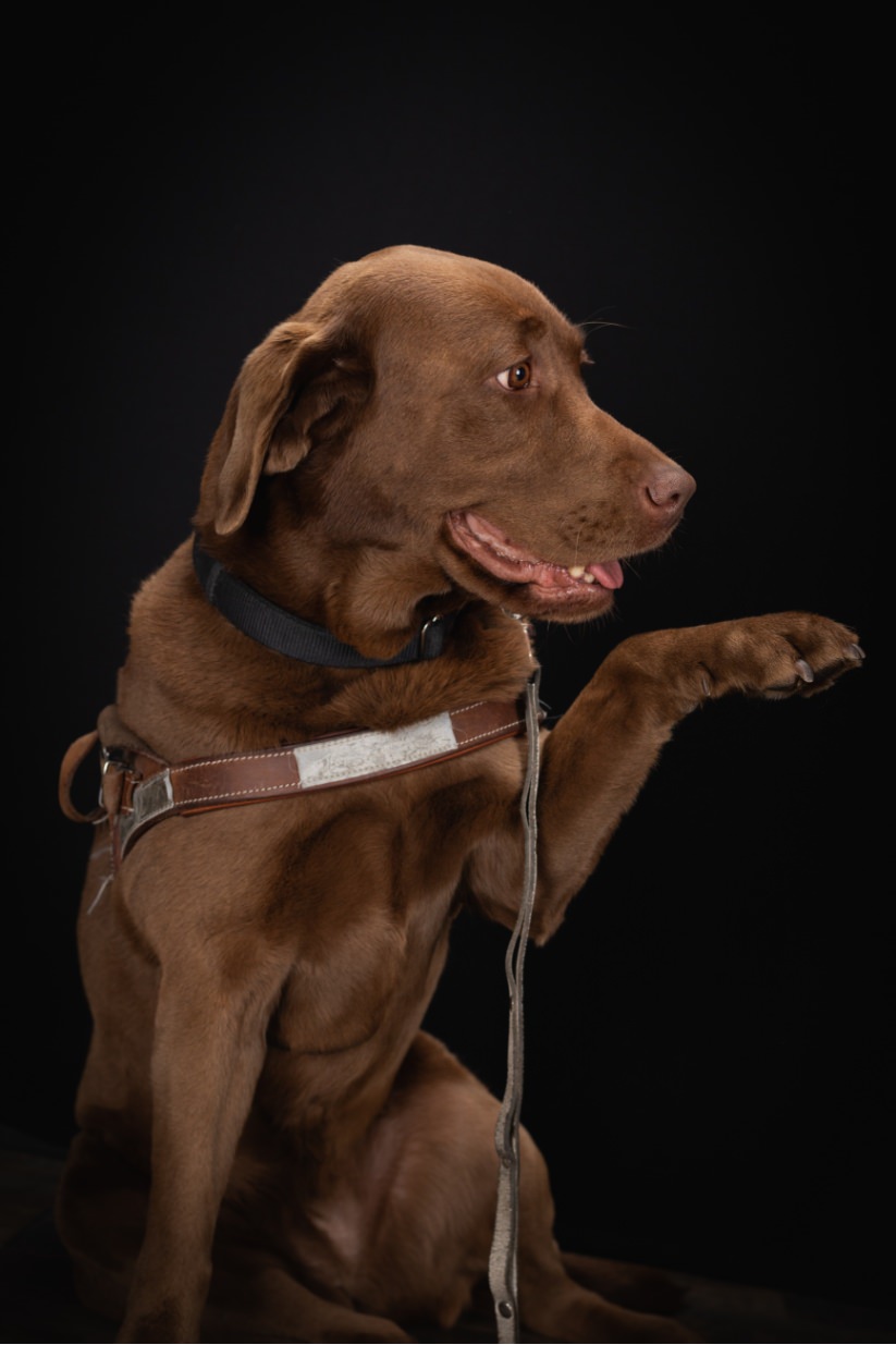 ©Xavier-randria.com