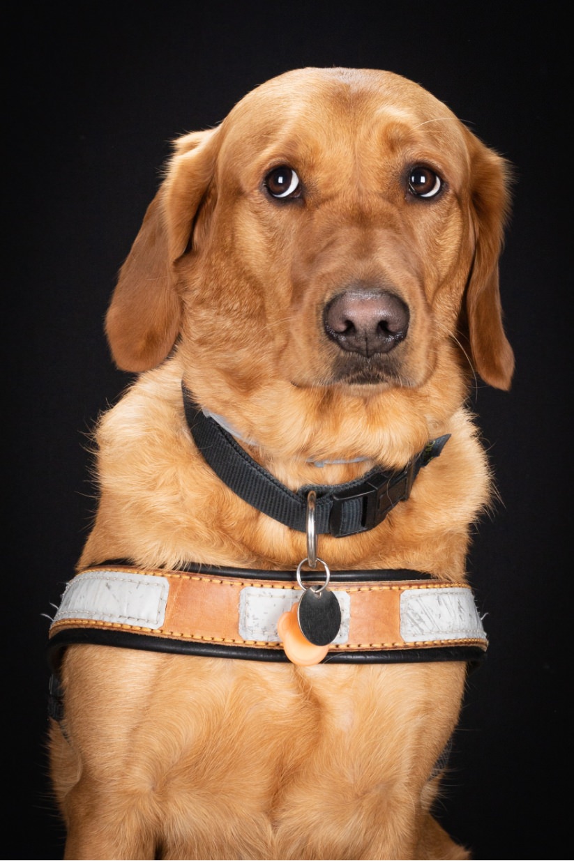 ©Xavier-randria.com