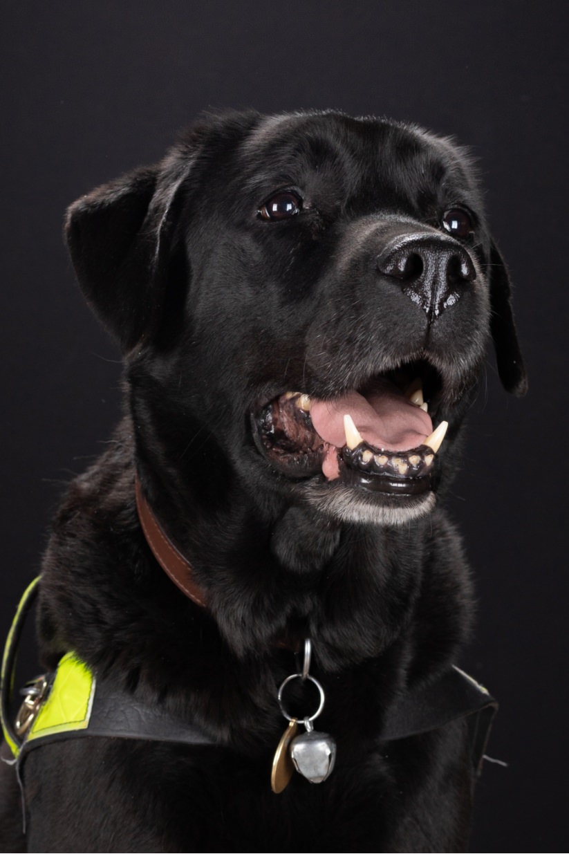 ©Xavier-randria.com