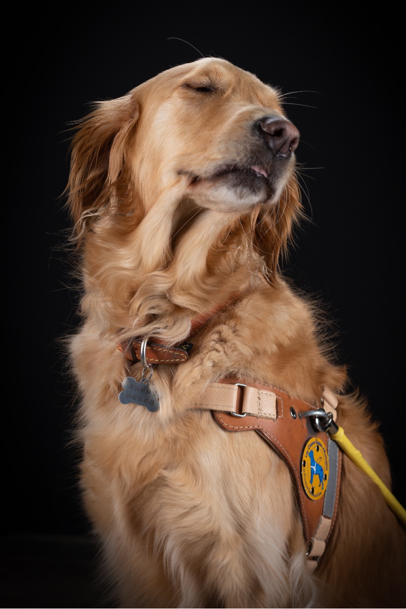 ©Xavier-randria.com