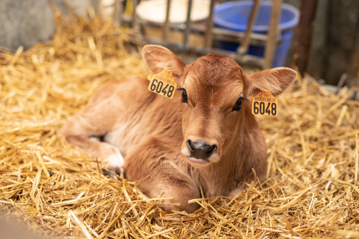 ©Xavier-randria.com